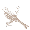 🕊 Эмодзи «Гармония Утра» для Telegram