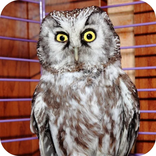 🫥 Стикер «Mytstical Tree» для Telegram