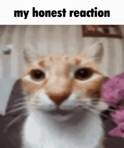 😺 Стикер «gboard&;s cats (mostly)» для Telegram