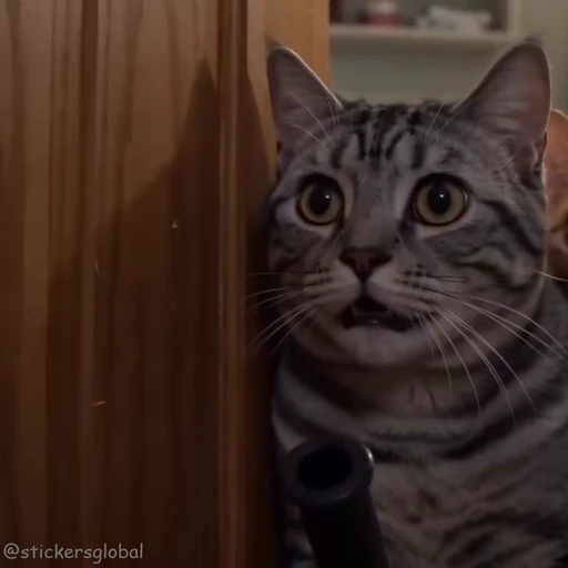 😰 Стикер «Kanji Cats» для Telegram
