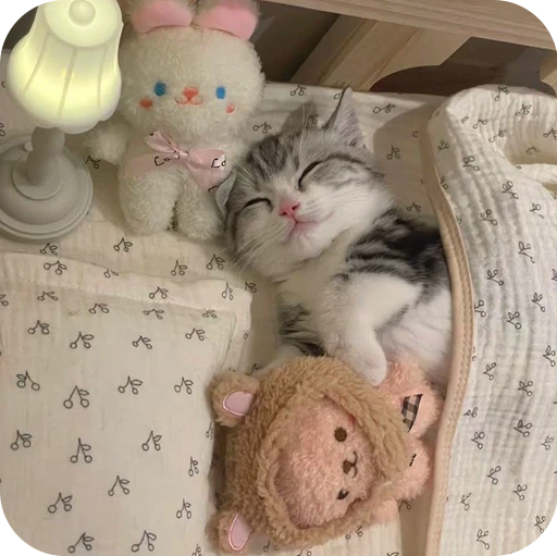 😴 Стикер «Paws» для Telegram