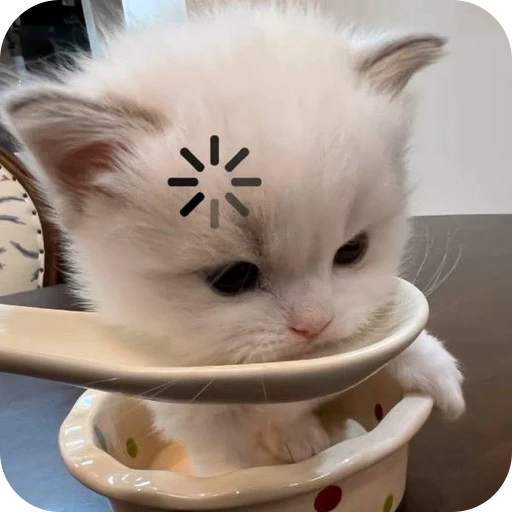 🤔 Стикер «Paws» для Telegram