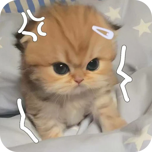 😤 Стикер «Paws» для Telegram