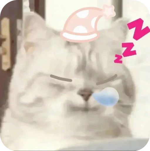 💤 Стикер «Paws» для Telegram