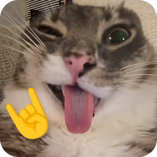 😜 Стикер «Paws» для Telegram