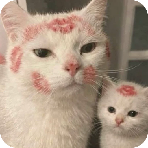 😘 Стикер «Paws» для Telegram