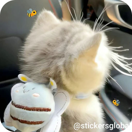 🐝 Стикер «Paws» для Telegram