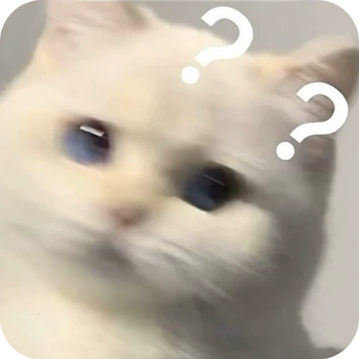 🤨 Стикер «Paws» для Telegram