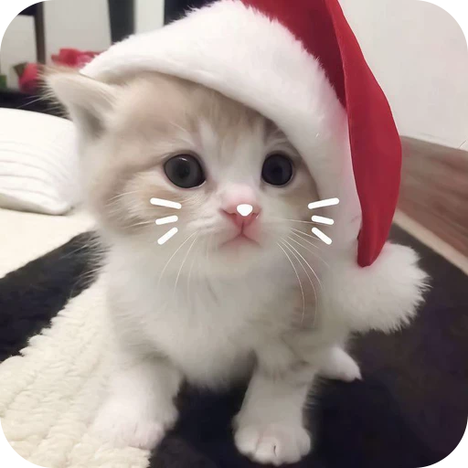 🎅 Стикер «Paws» для Telegram