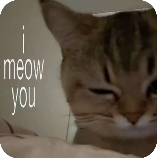 ❤ Стикер «Paws» для Telegram