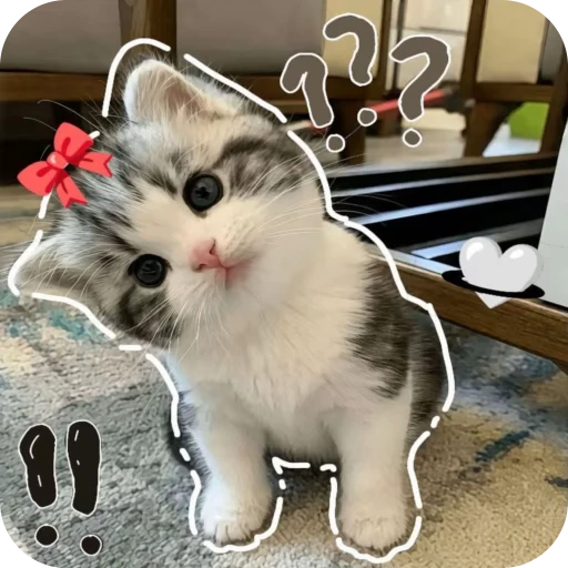 Стикерпак Pookie для Telegram — скачать