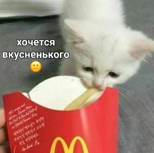 😕 Стикер «kitten love» для Telegram