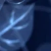 ♾ Эмодзи «geimvera ilmur.» для Telegram