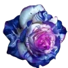 ♾ Эмодзи «geimvera ilmur.» для Telegram