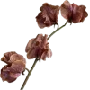 🌟 Эмодзи «gently» для Telegram