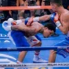 💨 Эмодзи «Gervonta Davis premium» для Telegram