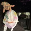 🤘 Эмодзи «Gervonta Davis premium» для Telegram
