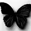 🤩 Эмодзи «Monochrome #colors #black #style» для Telegram