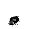 🤩 Эмодзи «Monochrome #colors #black #style» для Telegram