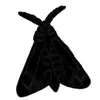 🤩 Эмодзи «Monochrome #colors #black #style» для Telegram