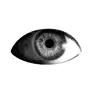 🤩 Эмодзи «Monochrome #colors #black #style» для Telegram