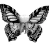 🤩 Эмодзи «Monochrome #colors #black #style» для Telegram