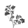 🤩 Эмодзи «Monochrome #colors #black #style» для Telegram