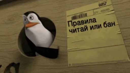 🌟 Стикер «Qizqda» для Telegram