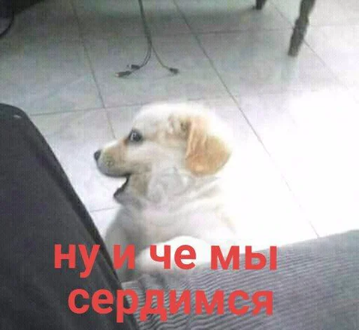 🤨 Стикер «блять, Глеб» для Telegram