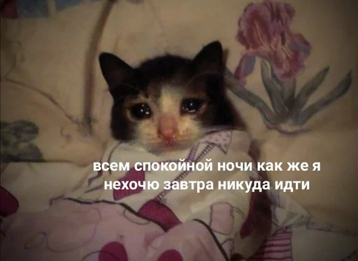 😢 Стикер «блять, Глеб» для Telegram