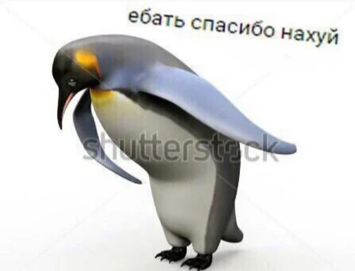😒 Стикер «блять, Глеб» для Telegram