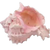 🐚 Эмодзи «Glitter pack - всякие блёсточки» для Telegram
