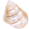 🐚 Эмодзи «Glitter pack - всякие блёсточки» для Telegram