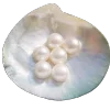 🐚 Эмодзи «Glitter pack - всякие блёсточки» для Telegram