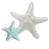 🪸 Эмодзи «Glitter pack - всякие блёсточки» для Telegram