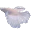 🐠 Эмодзи «Glitter pack - всякие блёсточки» для Telegram