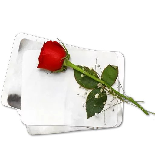 🌸 Стикер «عالم الجمال gmalll» для Telegram
