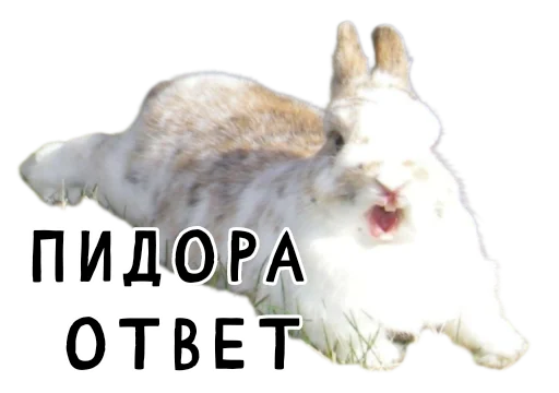 Стикерпак Гнилые кролики для Telegram — скачать