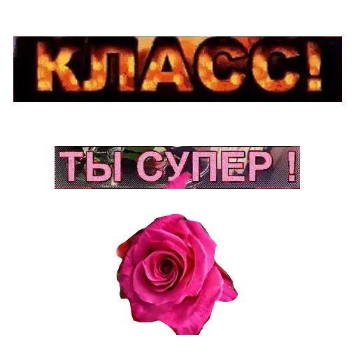 💋 Стикер «govorilka» для Telegram