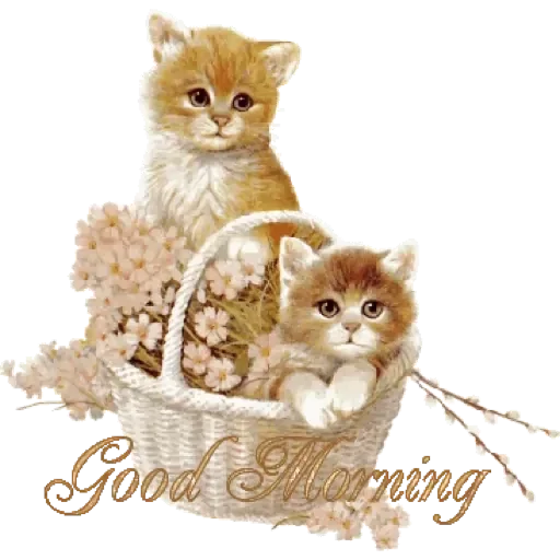 🤗 Стикер «Good Morning» для Telegram