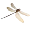 🦋 Эмодзи «✉ винтажная эстетика» для Telegram