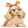 🐶 Эмодзи «Ꮺ۰ 𝓖𝓸𝓵𝓭𝓮𝓷» для Telegram