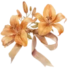 🌷 Эмодзи «Ꮺ۰ 𝓖𝓸𝓵𝓭𝓮𝓷» для Telegram