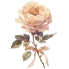 🌹 Эмодзи «Ꮺ۰ 𝓖𝓸𝓵𝓭𝓮𝓷» для Telegram