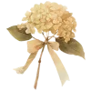 🪻 Эмодзи «Ꮺ۰ 𝓖𝓸𝓵𝓭𝓮𝓷» для Telegram