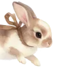 🐰 Эмодзи «Ꮺ۰ 𝓖𝓸𝓵𝓭𝓮𝓷» для Telegram
