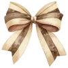 🎀 Эмодзи «Ꮺ۰ 𝓖𝓸𝓵𝓭𝓮𝓷» для Telegram