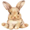 🐰 Эмодзи «Ꮺ۰ 𝓖𝓸𝓵𝓭𝓮𝓷» для Telegram