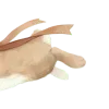 🐰 Эмодзи «Ꮺ۰ 𝓖𝓸𝓵𝓭𝓮𝓷» для Telegram