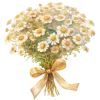 🌼 Эмодзи «Ꮺ۰ 𝓖𝓸𝓵𝓭𝓮𝓷» для Telegram